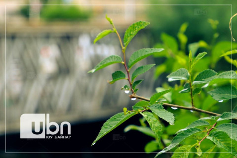 Улаанбаатарт маргааш 30 хэм дулаан