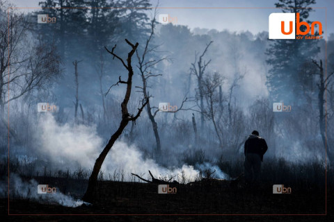 Дархан, Сэлэнгэд гарсан түймрийн улмаас сүүлийн 3 өдөр нийт 10 га талбай сүйджээ