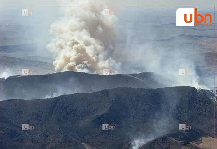 Долоодугаар сар гарсаар нийт 28 түймрийн дуудлага ирснээс 24 нь Сэлэнгэ аймагт гарчээ