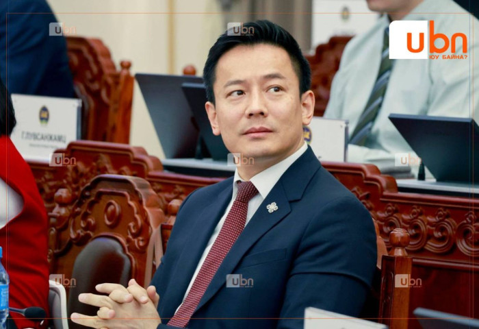 ЖДҮ-ийн хөгжлийн дэд хорооны даргаар О.Батнайрамдалыг дэмжлээ