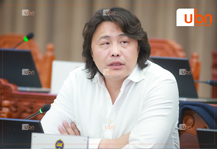 Инноваци, цахим бодлогын дэд хорооны даргаар УИХ-ын гишүүн Ч.Анарыг дэмжлээ