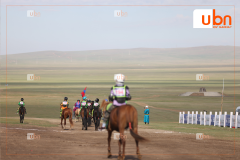 АЗАРГА: Хакүхо М.Даваажаргалын хээр азарга уралдахаар гарааны зурхай руу хөдөллөө