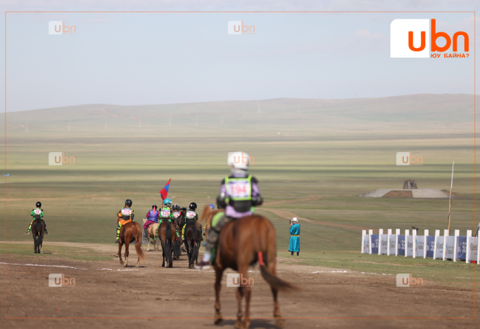 АЗАРГА: Хакүхо М.Даваажаргалын хээр азарга уралдахаар гарааны зурхай руу хөдөллөө