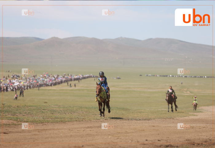 СОЁОЛОН: УИХ-ын гишүүн Загджавын Мэндсайханы хурдан хул үрээ хурдаллаа