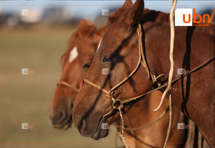 Маргааш Улаанбаатарт 30 хэм дулаан, багавтар үүлтэй