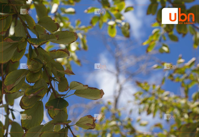 ӨГЛӨӨНИЙ МЭНД: Улаанбаатарт өдөртөө 30 хэм хүрч хална