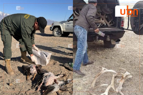 БАЙГАЛЬ ОРЧНЫ ХЯНАЛТ 2025: Хууль бус ангийн чиглэлээр хяналт шалгалт хийгдэж байна