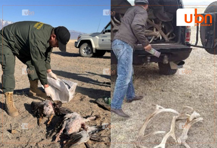 БАЙГАЛЬ ОРЧНЫ ХЯНАЛТ 2025: Хууль бус ангийн чиглэлээр хяналт шалгалт хийгдэж байна