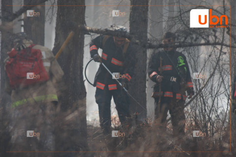 Ц.Ганзориг: 30 градусын халуунд, ойн том түймэрт алба хаагчид олон хоног үүрэг гүйцэтгэж байна