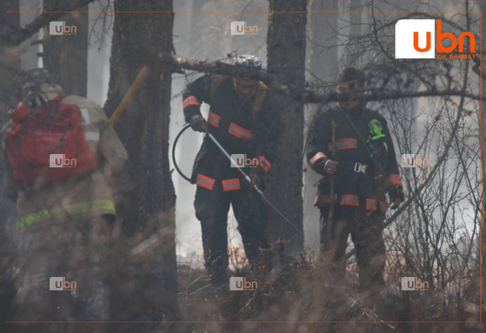 Ц.Ганзориг: 30 градусын халуунд, ойн том түймэрт алба хаагчид олон хоног үүрэг гүйцэтгэж байна