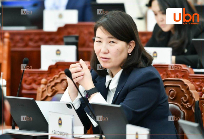 “Тойргийн гишүүдэд тус бүрт нь 15 тэрбум төгрөг хуваарилах гэж байна гэж хэлсний төлөө АН, МАН-гүй “Том хулгай дээр дуугар“ гэж Нара гишүүн бид хоёрыг чичилсэн“