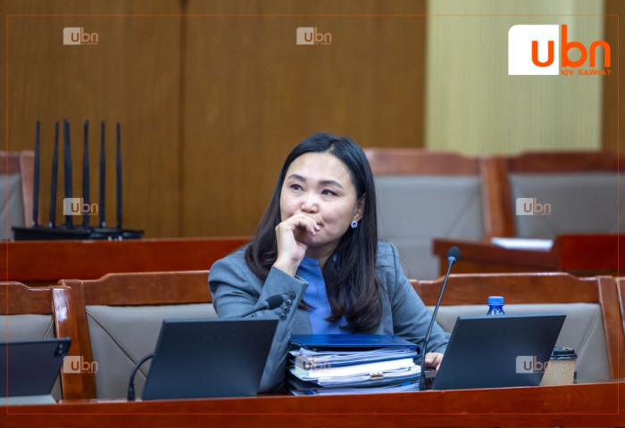 Ч.Номин: Тойргийн гишүүдэд 15 тэрбум “тараах“ байдлаар нөлөөлөхийг дэмжихгүй