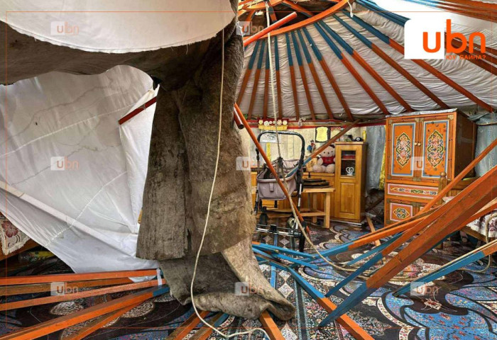 ОБЕГ: Хохирлын хэмжээг тогтоохоор ажиллаж байна