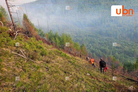 ОБЕГ: Ойн 14 түймрээс 7 түймрийг цурамд оруулж, 7 түймрийг хяналт авч, бүрэн унтраахаар ажиллаж байна