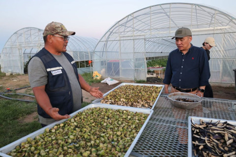 БОУАӨ-ийн сайд Б.Батбаатар “НОГООН ХЭРЭМ” мод үржүүлгийн талбайд ажиллалаа