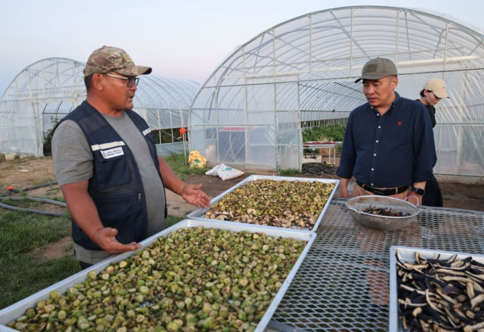 БОУАӨ-ийн сайд Б.Батбаатар “НОГООН ХЭРЭМ” мод үржүүлгийн талбайд ажиллалаа