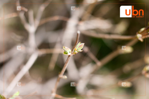 МАРГААШ: Улаанбаатарт 26 хэм дулаан, бороогүй