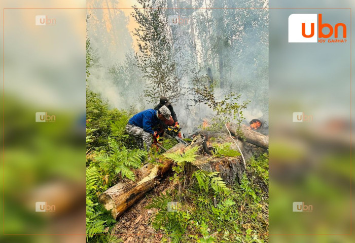 ОБЕГ: Увс, Хөвсгөл, Баян-Өлгий, Булган аймгийн зарим сумдад гарсан түймрийг унтраахаар ажиллаж байна
