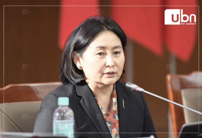 З.Нарантуяа: Хөгжлийн банкны хэлтсийн захирлаас дээших бүх томилгоо сайдын өрөөнд улс төрийн зөвшилцлөөр хийгддэг байдлыг шинэ хуулиар халах ёстой
