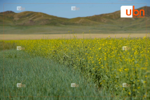 ЦАГ АГААР: Улаанбаатарт 21 хэм дулаан, бороо орохгүй