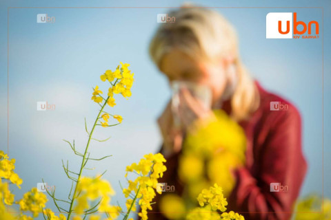 ЦУОШГ: Улаанбаатар хот орчимд 8-наас 15-ны үед Лууль, Шарилж төрлийн ургамал цэцэглэж, тоосоо гөвөхийг харшилтай хүмүүсд анхааруулж байна