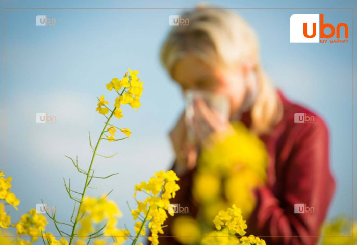 ЦУОШГ: Улаанбаатар хот орчимд 8-наас 15-ны үед Лууль, Шарилж төрлийн ургамал цэцэглэж, тоосоо гөвөхийг харшилтай хүмүүсд анхааруулж байна