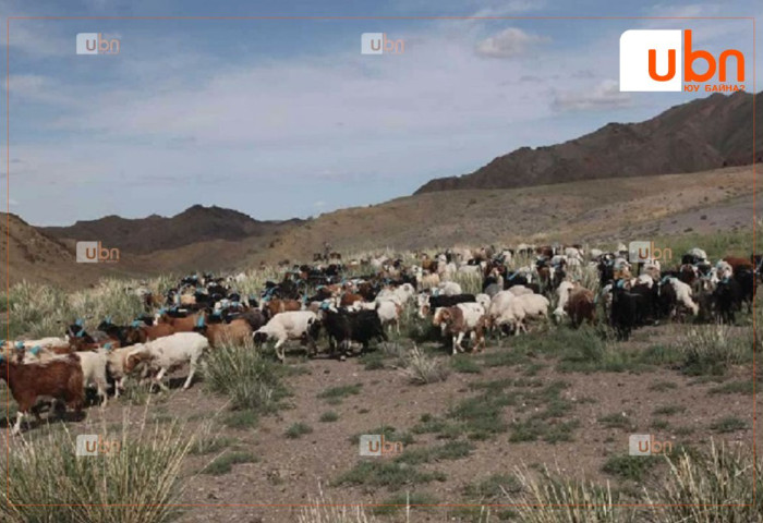 Нийт нутгийн 40 хувьд гантай болон гандуу байна