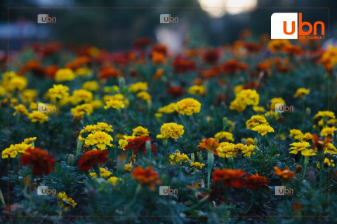 ЦАГ АГААР: Улаанбаатарт 23 хэм дулаан, бороо орохгүй