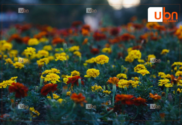 ЦАГ АГААР: Улаанбаатарт 23 хэм дулаан, бороо орохгүй