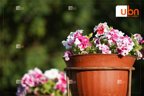 ЦАГ АГААР: Улаанбаатарт 28 хэм дулаан, бороо орохгүй