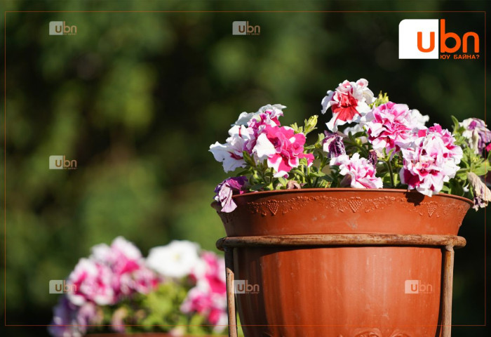 ЦАГ АГААР: Улаанбаатарт 28 хэм дулаан, бороо орохгүй