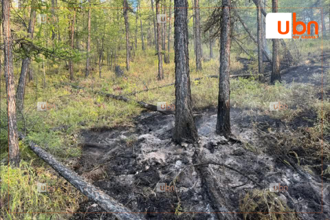Завхан аймагт гарсан ой, хээрийн гурван түймрийг бүрэн унтраалаа