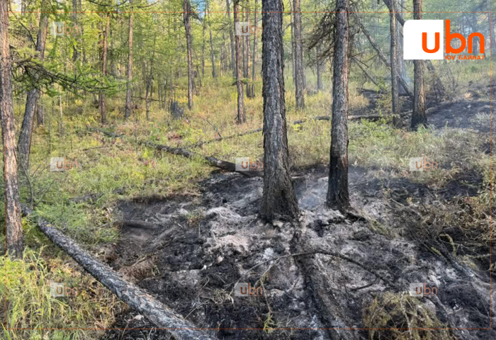 Завхан аймагт гарсан ой, хээрийн гурван түймрийг бүрэн унтраалаа