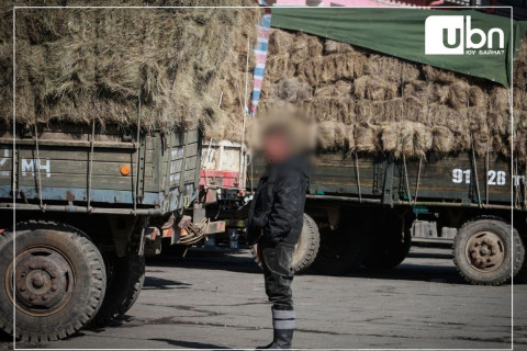 Бэлчээрийн өвс, байгалийн хадлан бэлтгэж экспортлохыг хориглолоо