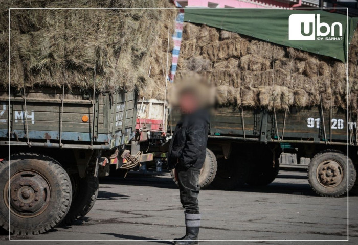 Бэлчээрийн өвс, байгалийн хадлан бэлтгэж экспортлохыг хориглолоо