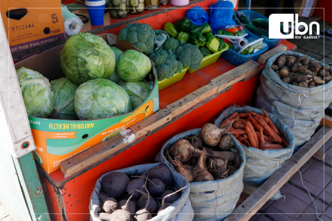 Төмсний 72, хүнсний ногооны 62 хувийг дотоодоос хангана гэв