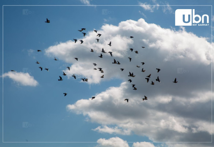 Улаанбаатарт 27 хэм дулаан