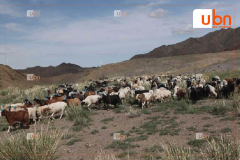 Нийт нутгийн 46 хувьд гантай болон гандуу байна