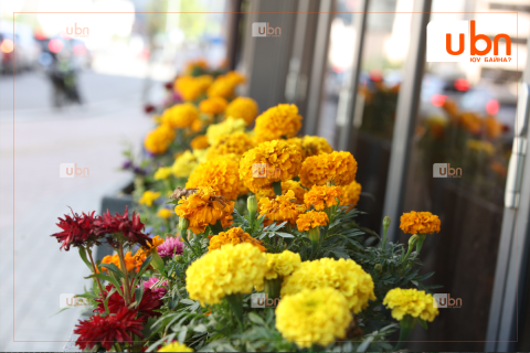 Маргааш Улаанбаатарт 25 хэм дулаан, багавтар үүлтэй