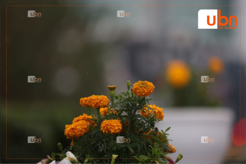 ӨГЛӨӨНИЙ МЭНД: Улаанбаатарт 17 хэм дулаан, бага зэргийн аадар бороотой