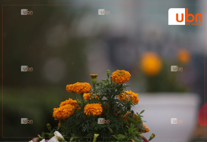 ӨГЛӨӨНИЙ МЭНД: Улаанбаатарт 17 хэм дулаан, бага зэргийн аадар бороотой