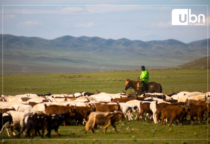 ТӨСӨВ 2026: Шинэ хоршоо хөдөлгөөний хүрээнд шинээр 500 тэрбум төгрөгийн зээл олгож, 108.9 тэрбум төгрөгийн хүүг төр төлнө