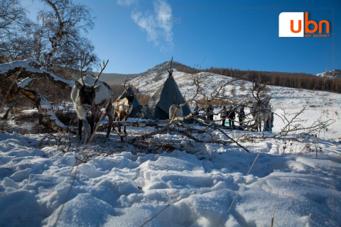 Цаатан өрхийн хүүхдийн дэмжлэгт сар бүр 244.450 төгрөг олгодог