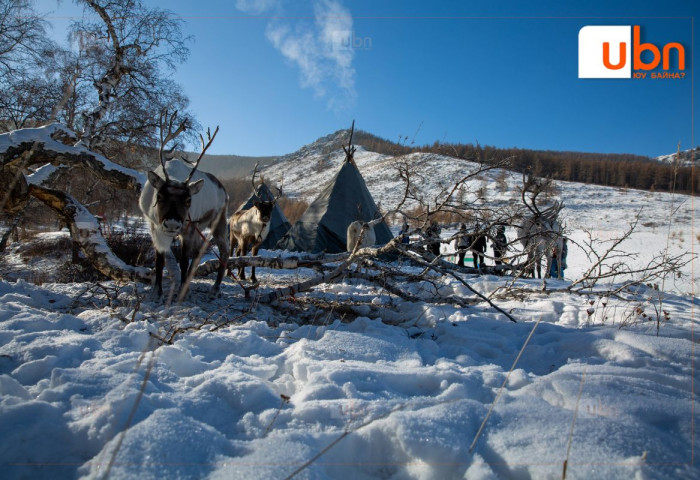 Цаатан өрхийн хүүхдийн дэмжлэгт сар бүр 244.450 төгрөг олгодог