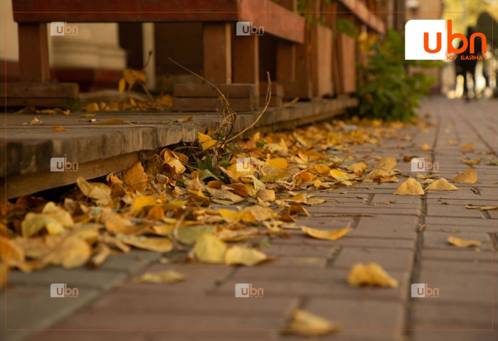 Ирэх долоо хоногт цаг агаар ямар байх вэ