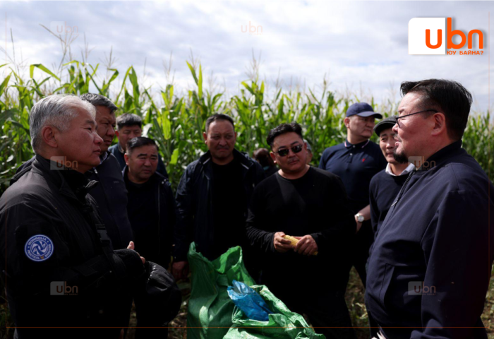 Тариалалтын талбайн хэмжээг нэмэгдүүлж, хөнгөлөлттэй зээлд хамруулахад дэмжлэг үзүүлэхийг тариалан эрхлэгчид хүслээ