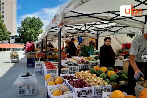СУРВАЛЖИЛГА: Тохиромжгүй байршлаас болж, худалдан авагчдаа “алдсан“ гэх Алтан намар үзэсгэлэнд төмс, луувангийн үнэ өнгөрсөн жилээс 500-1500 төгрөгөөр нэмэгджээ
