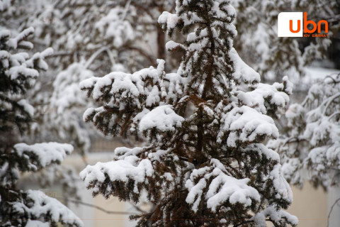 Хөвсгөл аймгийн 1 суманд 4 мм, Ховд аймгийн  9 суманд 00-6,0 мм ЦАС ОРЖЭЭ