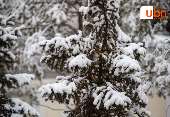 Хөвсгөл аймгийн 1 суманд 4 мм, Ховд аймгийн  9 суманд 00-6,0 мм ЦАС ОРЖЭЭ