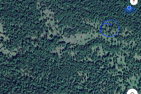 Хөвсгөл аймгийн Тариалан суманд гэрийнхээ гаднаас алга болсон 2 настай хүүг эрэн хайх ажиллагаа үргэлжилж байна